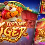 Langkah sederhana memperoleh keberhasilan di Fortune Tiger